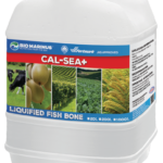 CAL-SEA+ <br> Liquified Fish Bone